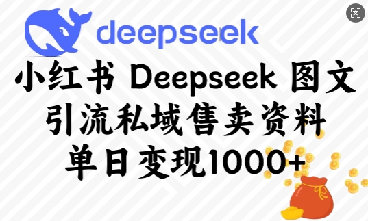 小红书Deepseek图文引流私域售卖资料，单日变现多张-赚钱网