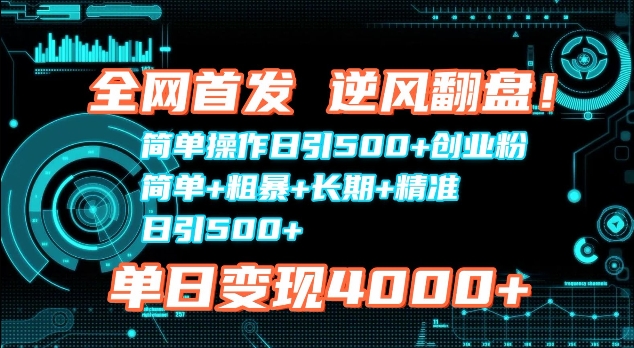 全网首发，简单操作日引500+创业粉，简单+粗暴+长期+精准-赚钱网