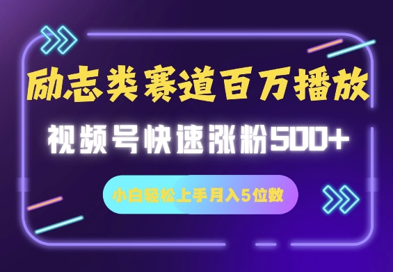 励志类赛道也能百万播放，快速涨粉500+视频号变现月入5位数-赚钱网