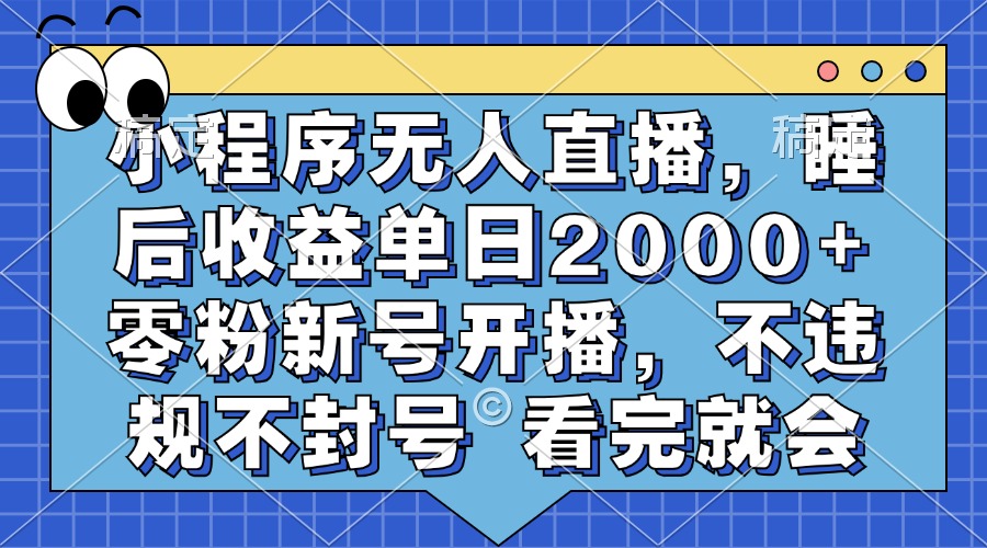 （13251期）小程序无人直播，睡后收益单日2000+ 零粉新号开播，不违规不封号 看完就会-赚钱网