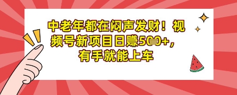 中老年都在闷声发财，视频号新项目日入多张，有手就能上车-赚钱网
