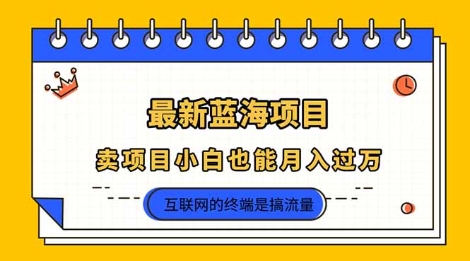 （14289期）2025年最新蓝海项目，卖项目小白也能月入过万-赚钱网