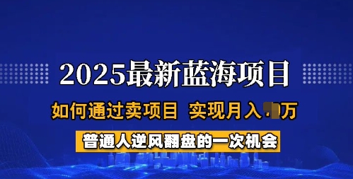 2025蓝海项目，普通人如何通过卖项目，实现月入过W，全过程【揭秘】-赚钱网