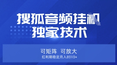 【搜狐音频挂G】独家技术，可矩阵可放大，红利期稳定月入8k【揭秘】-赚钱网