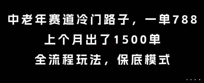 中老年赛道冷门路子，一单788，上个月出了1500单，全流程玩法，保底模式【揭秘】-赚钱网