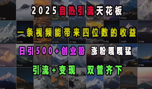 2025自热引流天花板，一条视频能带来四位数的收益，引流+变现双管齐下，日引500+创业粉，涨粉嘎嘎猛-赚钱网