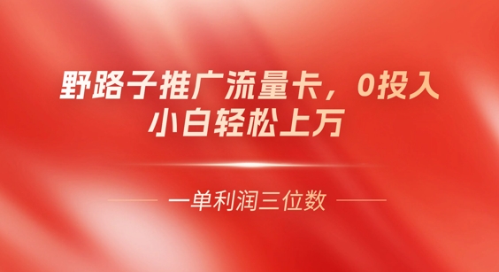 0门槛推广流量卡，一单收益上百，0投入，小白月入过W-赚钱网