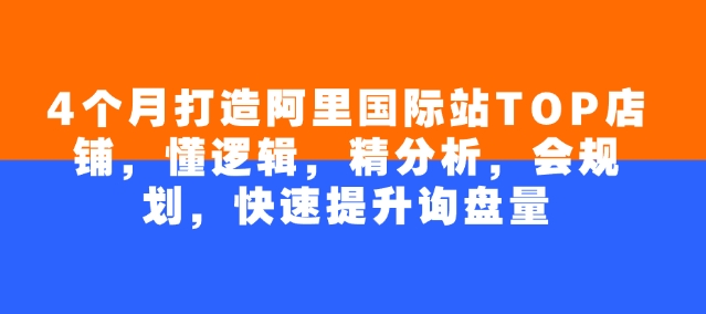 4个月打造阿里国际站TOP店铺，懂逻辑，精分析，会规划，快速提升询盘量-赚钱网