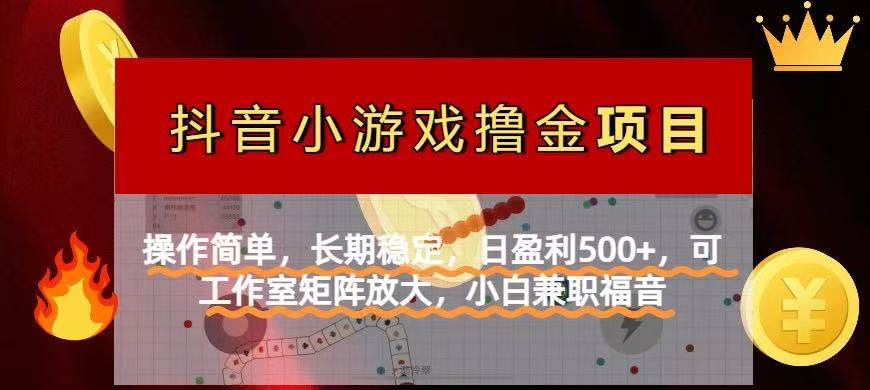 （14290期）【抖音小游戏发行人计划项目】操作简单，长期稳定，日盈利500+，可工作…-赚钱网