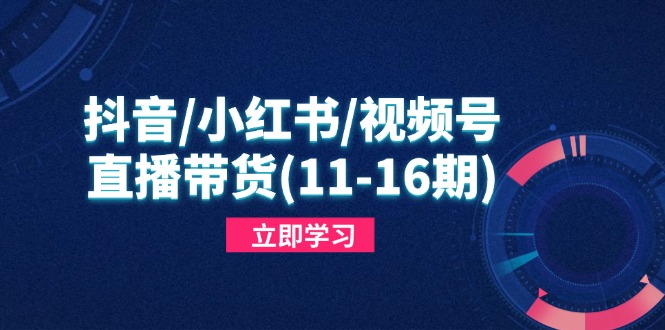 （14611期）抖音/小红书/视频号/直播带货(11-16期)，快速掌握平台规则，打造爆款内容-赚钱网
