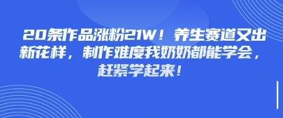 20条作品涨粉21W！养生赛道又出新花样，制作难度我奶奶都能学会，赶紧学起来-赚钱网
