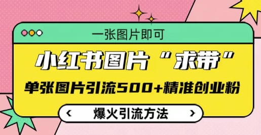 小红书图片‘求带’爆火引流法，单张图片引流500+精准创业粉【揭秘】-赚钱网
