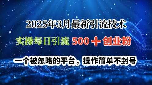 2025年3月最新引流技术，实操每日引流500+创业粉，一个被忽略的平台，操作简单不封号-赚钱网