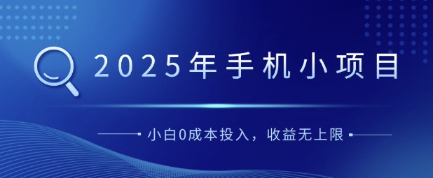 2025年手机小项目，简单易学，小白0成本投入，多劳多得-赚钱网