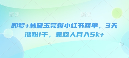 即梦+林黛玉完爆小红书商单，3天涨粉1千，靠怼人月入5k+-赚钱网