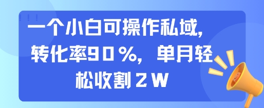 一个小白可操作私域，转化率90%，单月轻松收割2W-赚钱网
