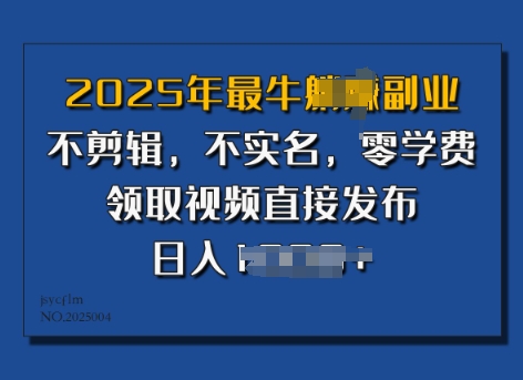 ​2025年最牛副业，不剪辑，不实名，零学费，零粉可做，领取视频直接发布，有播放就有收益-赚钱网
