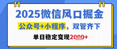 2025微信风口掘金，公众号+小程序双管齐下，单日稳定变现1k+【揭秘】-赚钱网