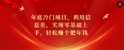 年底冷门项目，利用信息差，实现零基础上手，轻松赚个肥年钱【揭秘】-赚钱网