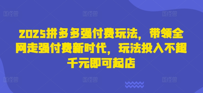 2025拼多多强付费玩法，带领全网走强付费新时代，玩法投入不超千元即可起店-赚钱网