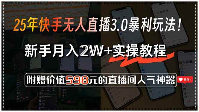 （15335期）25年快手无人直播3.0暴利玩法！，新手月入2W+实操教程，附赠价值598元…-赚钱网