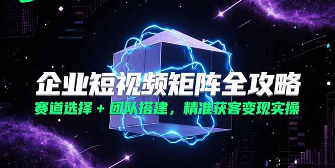 企业短视频矩阵全攻略，赛道选择+团队搭建，精准获客变现实操-赚钱网