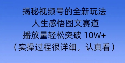 Deepseek和即梦结合，做一个【人生图文感悟】的视频号-赚钱网