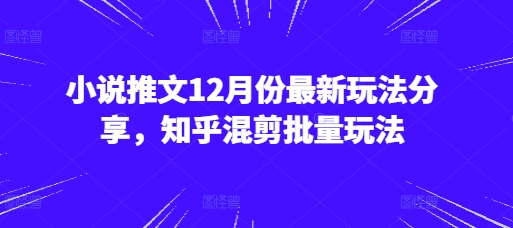 小说推文12月份最新玩法分享，知乎混剪批量玩法-赚钱网