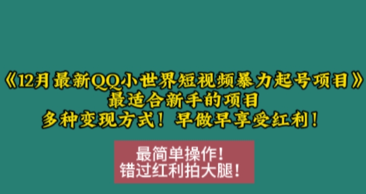 12月最新QQ小世界短视频暴力起号项目，最适合新手的项目，多种变现方式-赚钱网