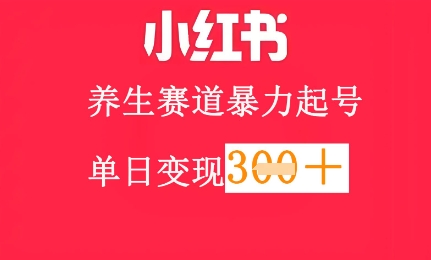 小红书养生赛道，暴力起号，轻松日入3张+-赚钱网