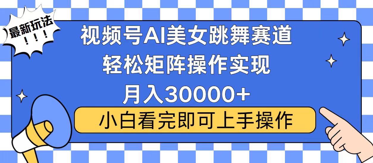 （13813期）视频号蓝海赛道玩法，当天起号，拉爆流量收益，小白也能轻松月入30000+-赚钱网