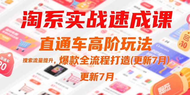 淘系实战速成课，直通车高阶玩法，搜索流量提升，爆款全流程打造(更新7月-赚钱网