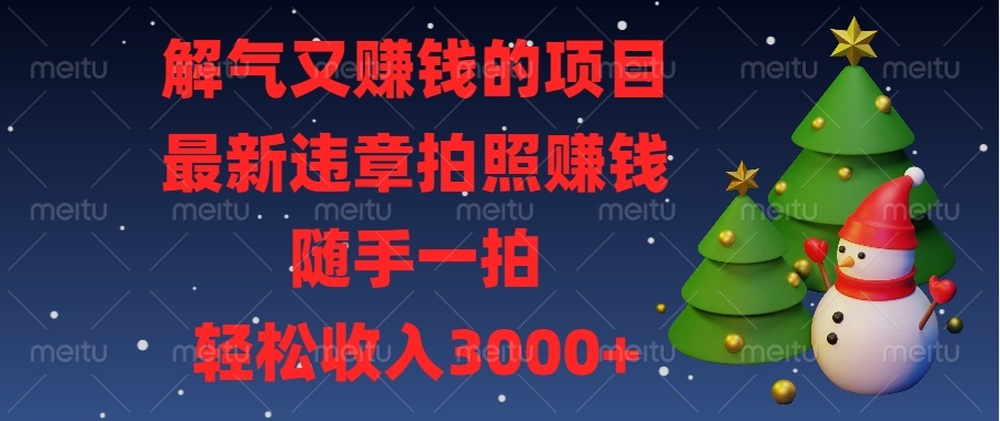 （13686期）解气又赚钱的项目，最新违章拍照赚钱，随手一拍，轻松收入3000+-赚钱网