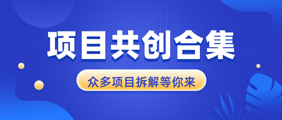 （13778期）项目共创合集，从0-1全过程拆解，让你迅速找到适合自已的项目-赚钱网