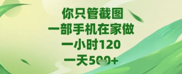 你只管截图，一部手机在家做，苹果安卓都可以，一天5张+【揭秘】-赚钱网
