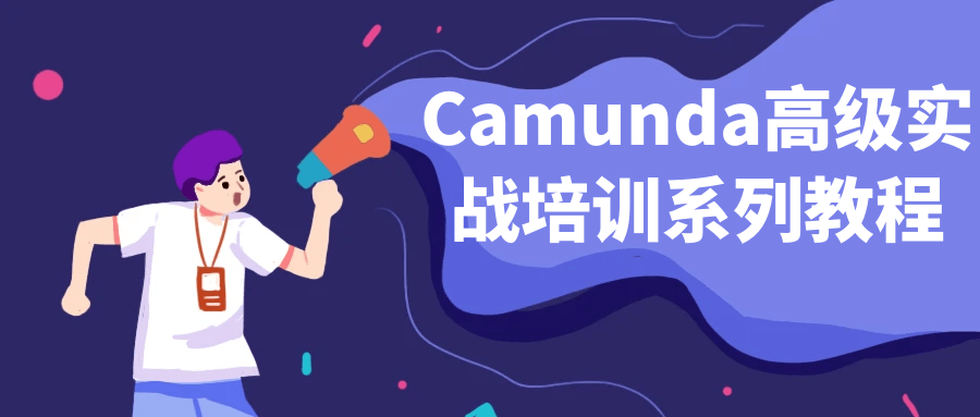Camunda高级实战培训系列教程-赚钱网