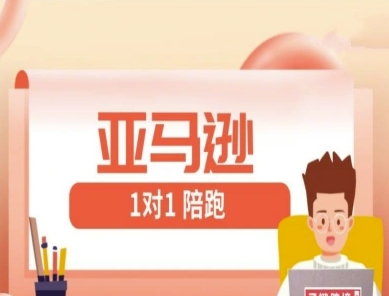 亚马逊1对1陪跑课(FBA/FBM精铺)跨境亚马逊教程-赚钱网