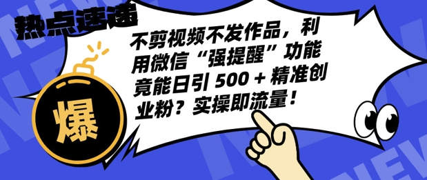不剪视频不发作品，视频号私信日引 500 + 精准创业粉?实操即流量!-赚钱网