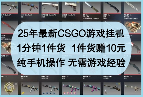 25年最新CSGO游戏挂G，1分钟1件货，1件货挣10元，纯手机操作，无需游戏经验【揭秘】-赚钱网