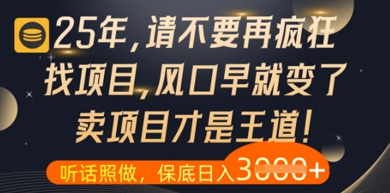 什么？25年你还在疯狂找项目做，醒醒吧，看完这些你全都懂了【揭秘】-赚钱网