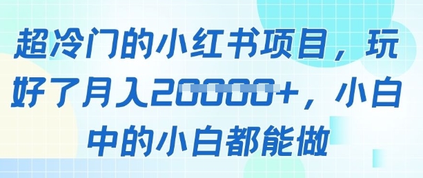 超冷门的小红书项目，玩好了月入过1w，小白中的小白都能做-赚钱网