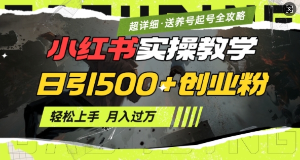 2月小红书最新日引500+创业粉实操教学【超详细】小白轻松上手，月入1W+，附小红书养号起号SOP-赚钱网