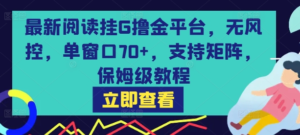 最新阅读挂G撸金平台，无风控，单窗口70+，支持矩阵，保姆级教程【揭秘】-赚钱网