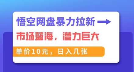悟空网盘暴力拉新：一单10元，市场空白，日入几张-赚钱网