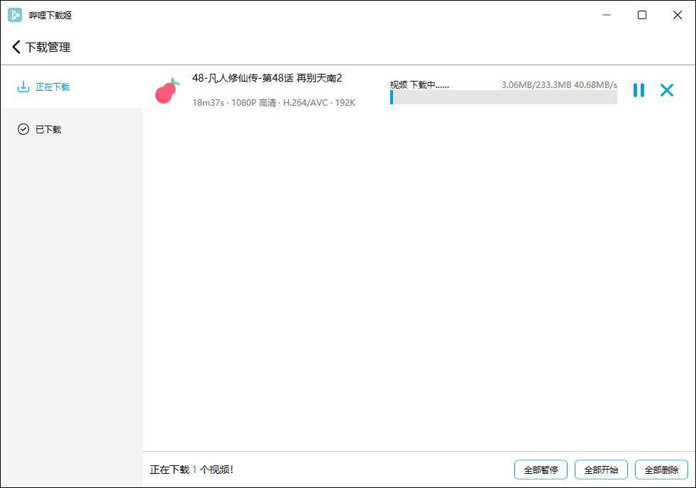 哔哩哔哩视频下载姬v1.0.16绿色版插图3