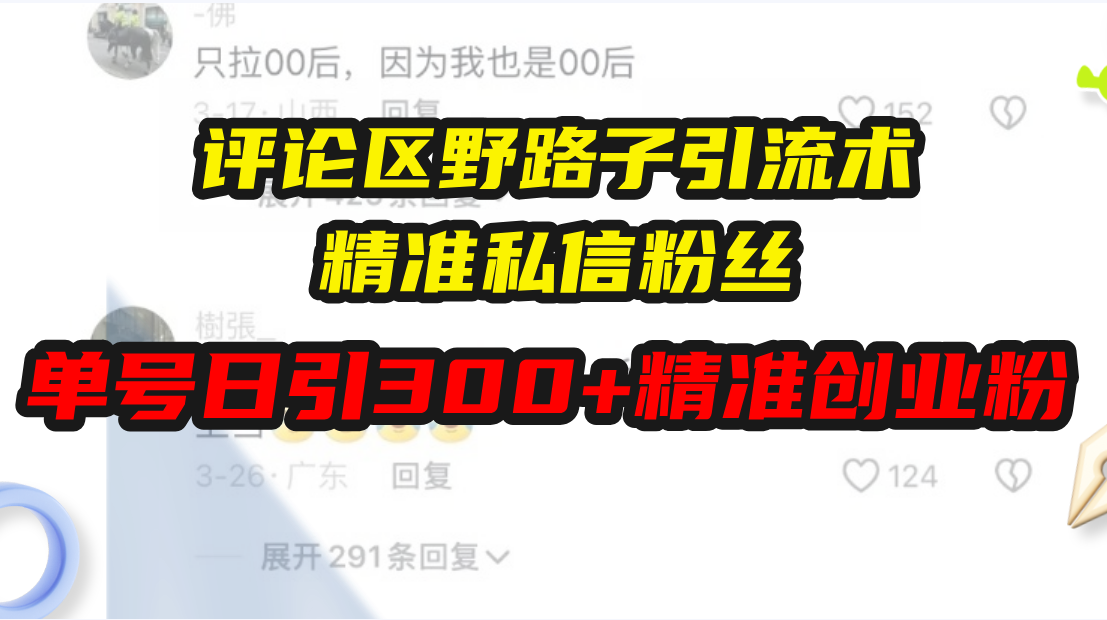 （13676期）评论区野路子引流术，精准私信粉丝，单号日引流300+精准创业粉-赚钱网