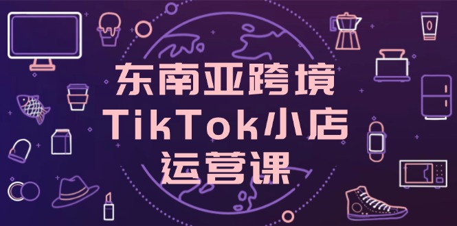 （14390期）东南亚跨境TikTok小店运营课，掌握店铺设置与流量转化核心技巧-赚钱网