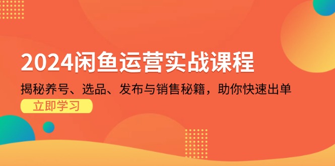 （13290期）2024闲鱼运营实战课程：揭秘养号、选品、发布与销售秘籍，助你快速出单-赚钱网