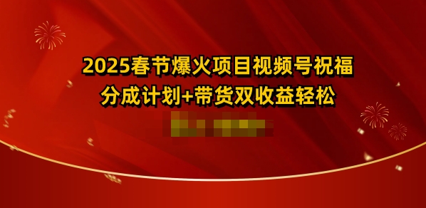 2025春节爆火项目视频号祝福，分成计划+带货双收益，轻松日入多张-赚钱网