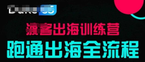 出海训练营基础课，跑通出海全流程，实战案例拆解-赚钱网